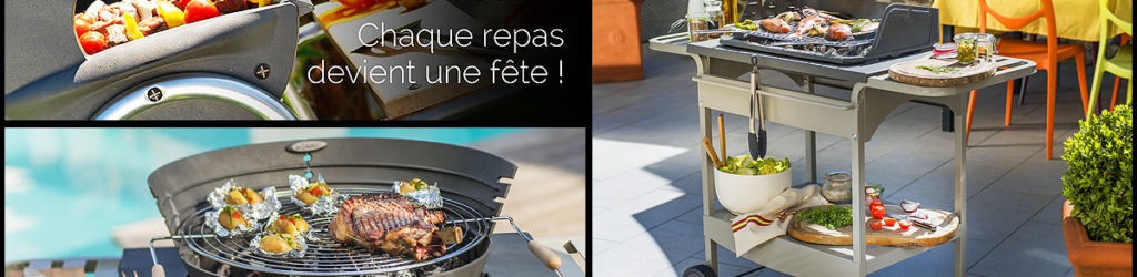 barbecue -charbon